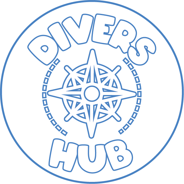 logoDiversHub